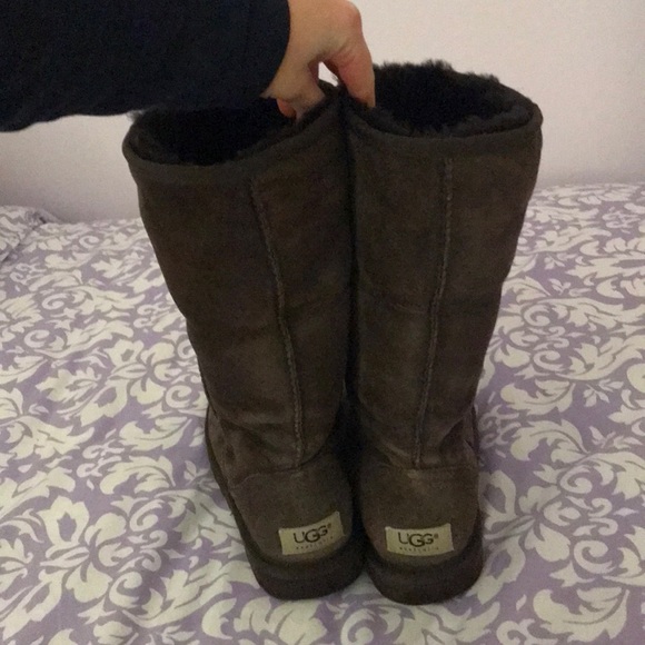 UGG Shoes - Tall brown uggs